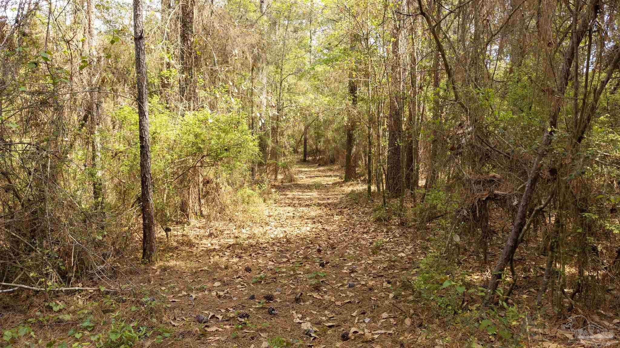 Tbd Corley Road Walnut Hill, FL 32568 - Photo 14 of 20