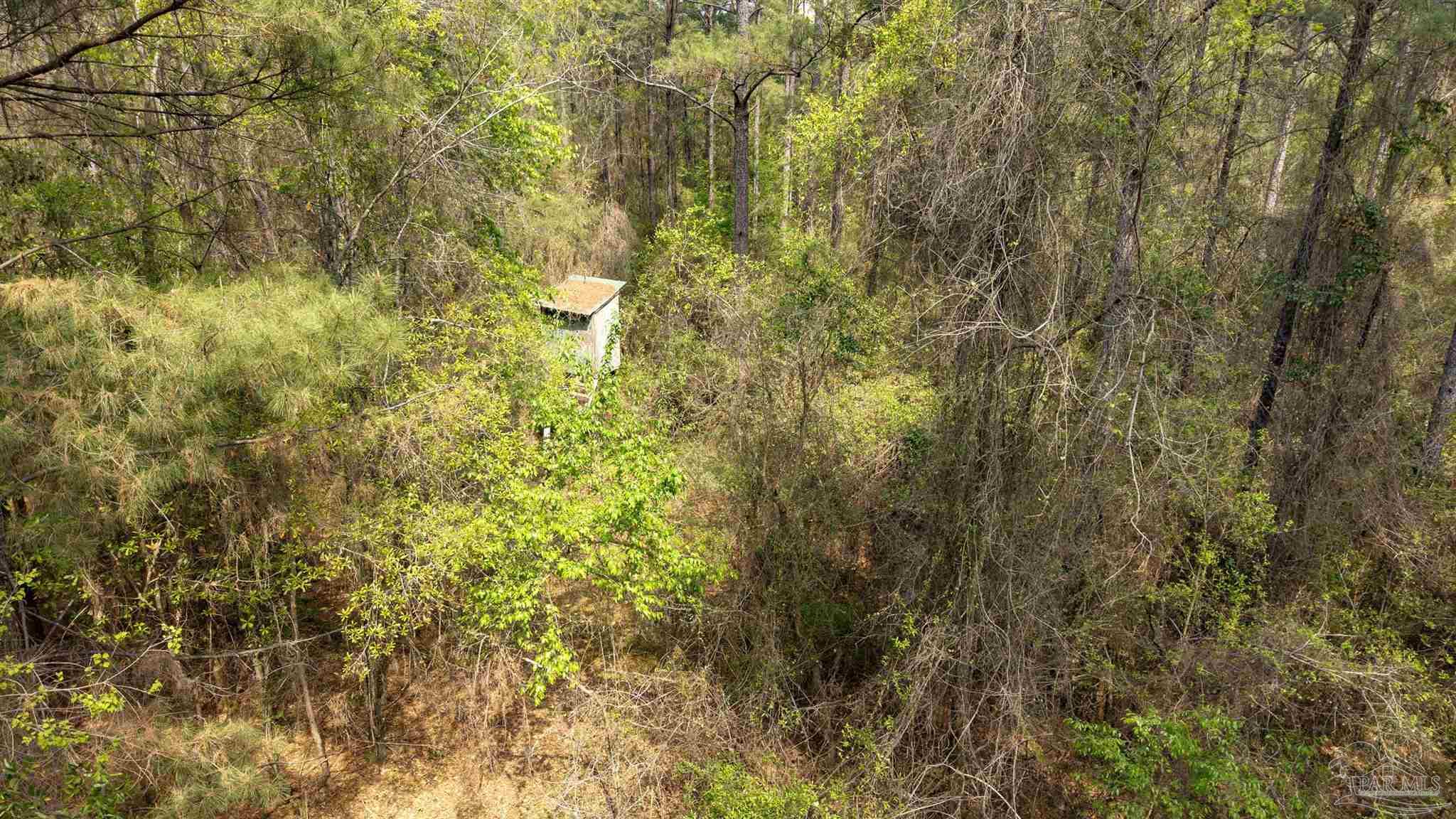 Tbd Corley Road Walnut Hill, FL 32568 - Photo 15 of 20