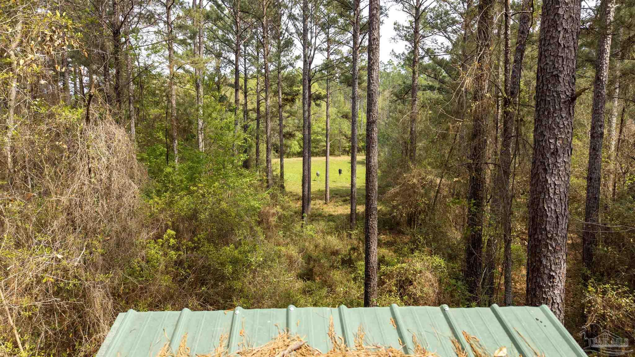 Tbd Corley Road Walnut Hill, FL 32568 - Photo 16 of 20