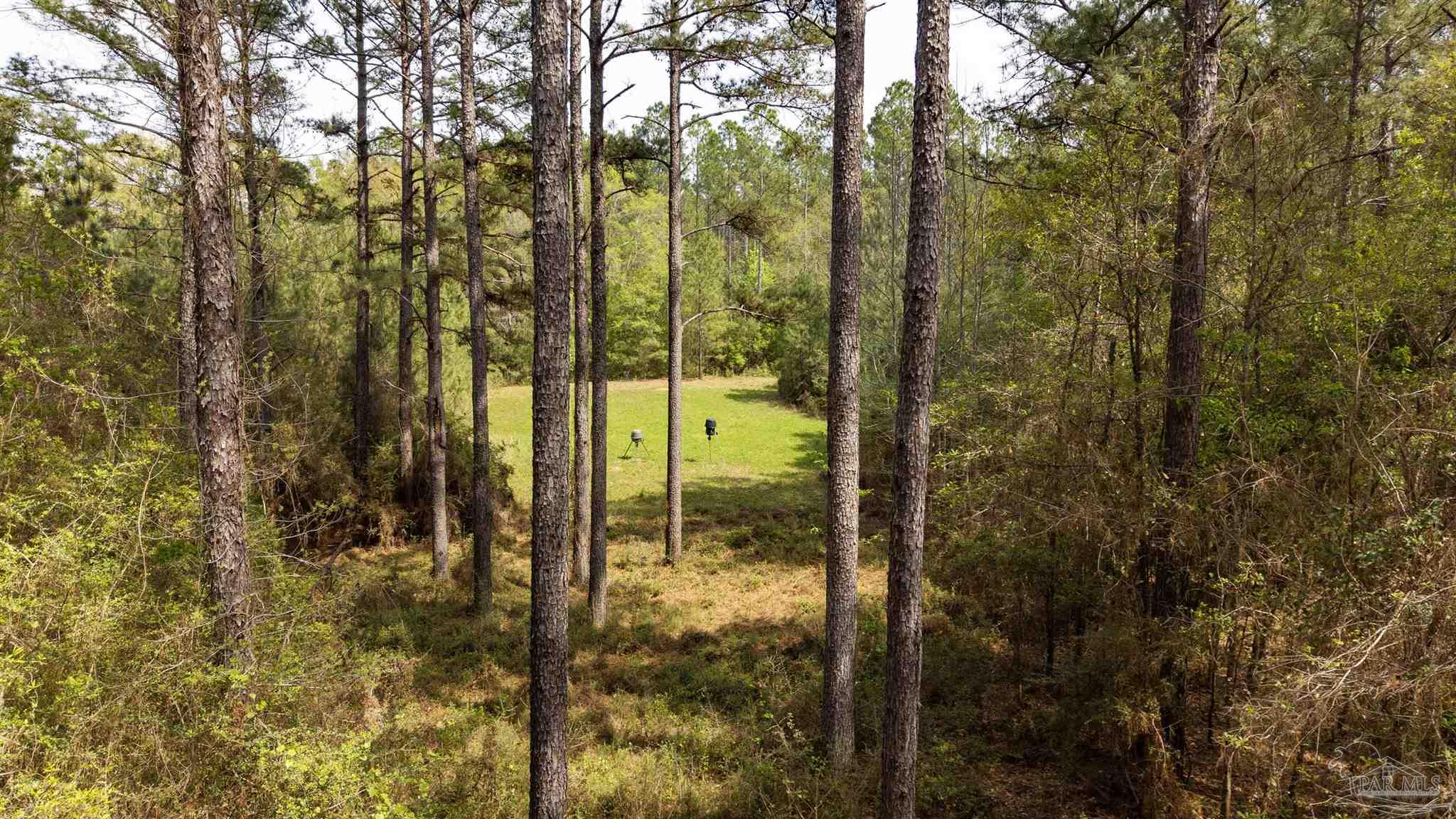 Tbd Corley Road Walnut Hill, FL 32568 - Photo 17 of 20