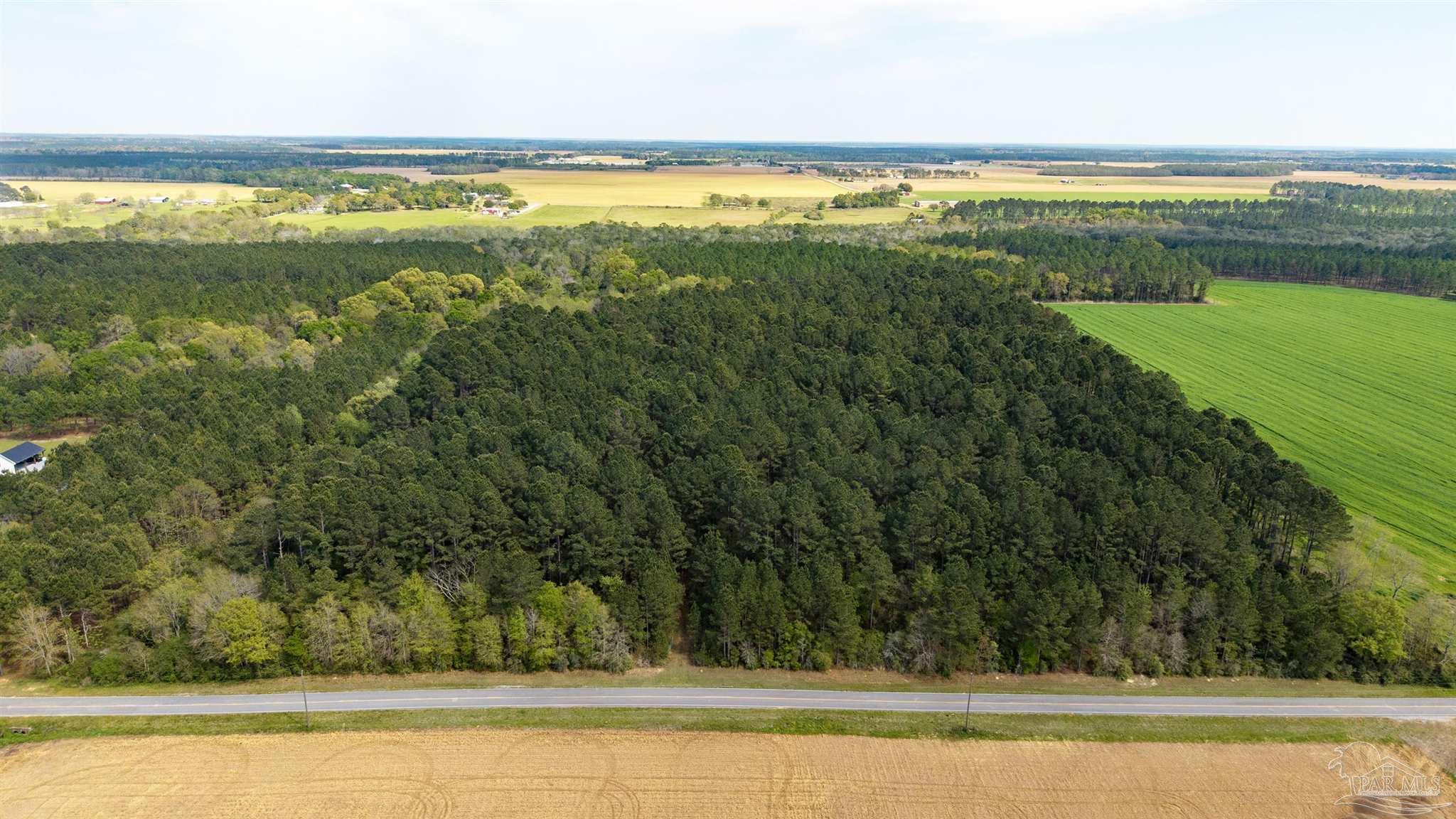 Tbd Corley Road Walnut Hill, FL 32568 - Photo 18 of 20