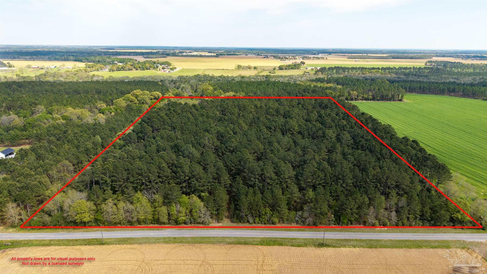 Tbd Corley Road Walnut Hill, FL 32568 - Photo 19 of 20