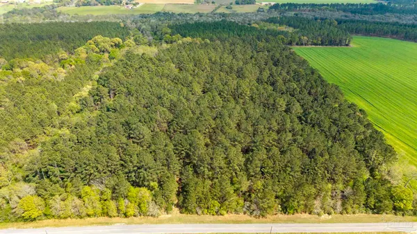 $350,000 | Tbd Corley Road, Walnut Hill, FL 32568