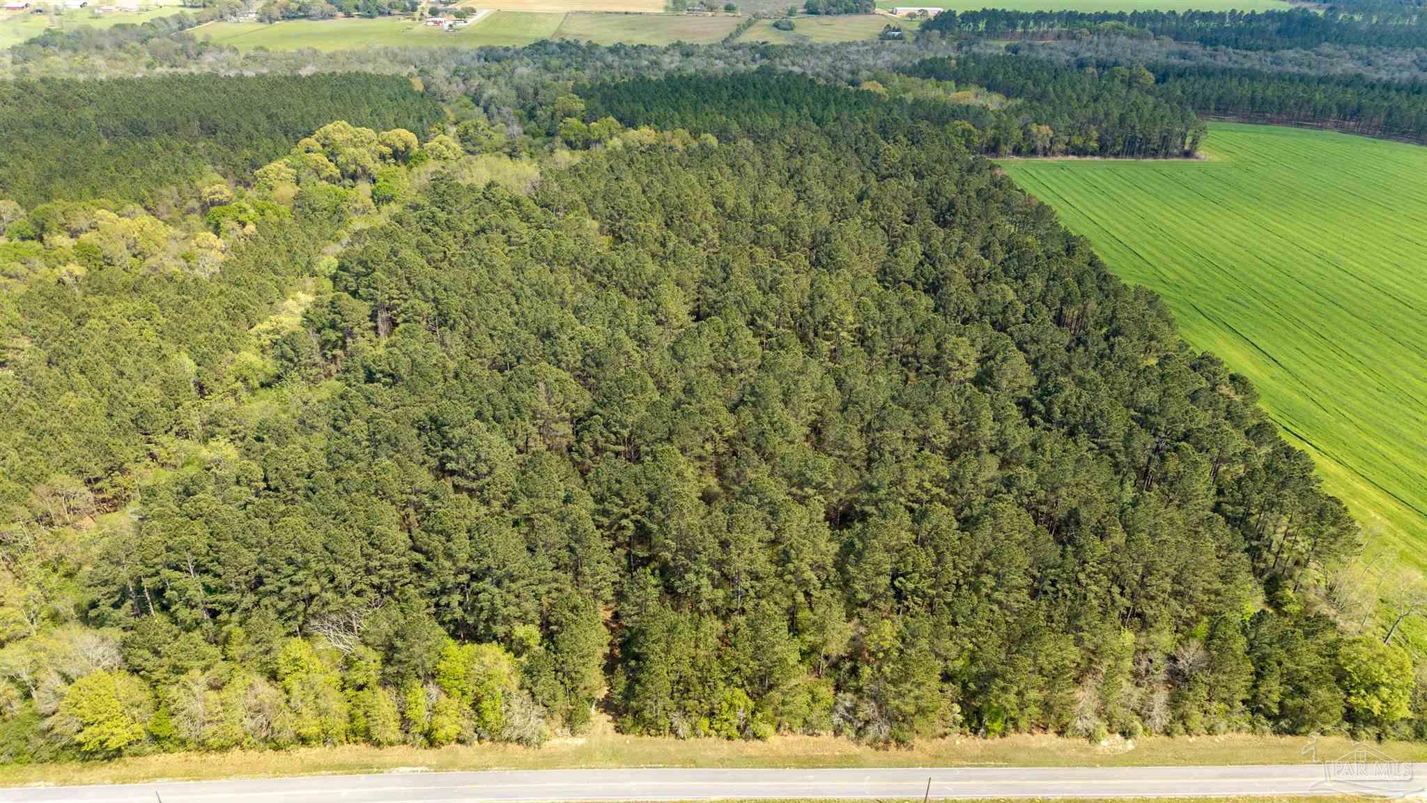 Tbd Corley Road Walnut Hill, FL 32568 - Photo 20 of 20