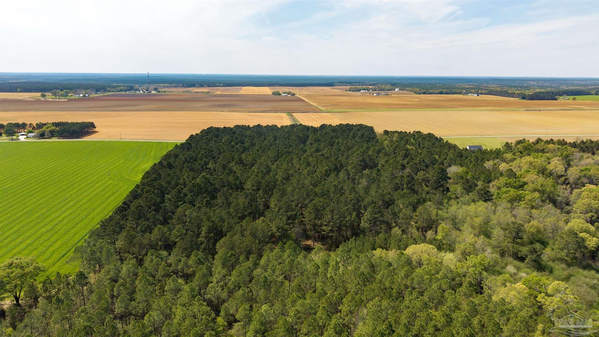 Tbd Corley Road Walnut Hill, FL 32568 - Photo 2 of 20