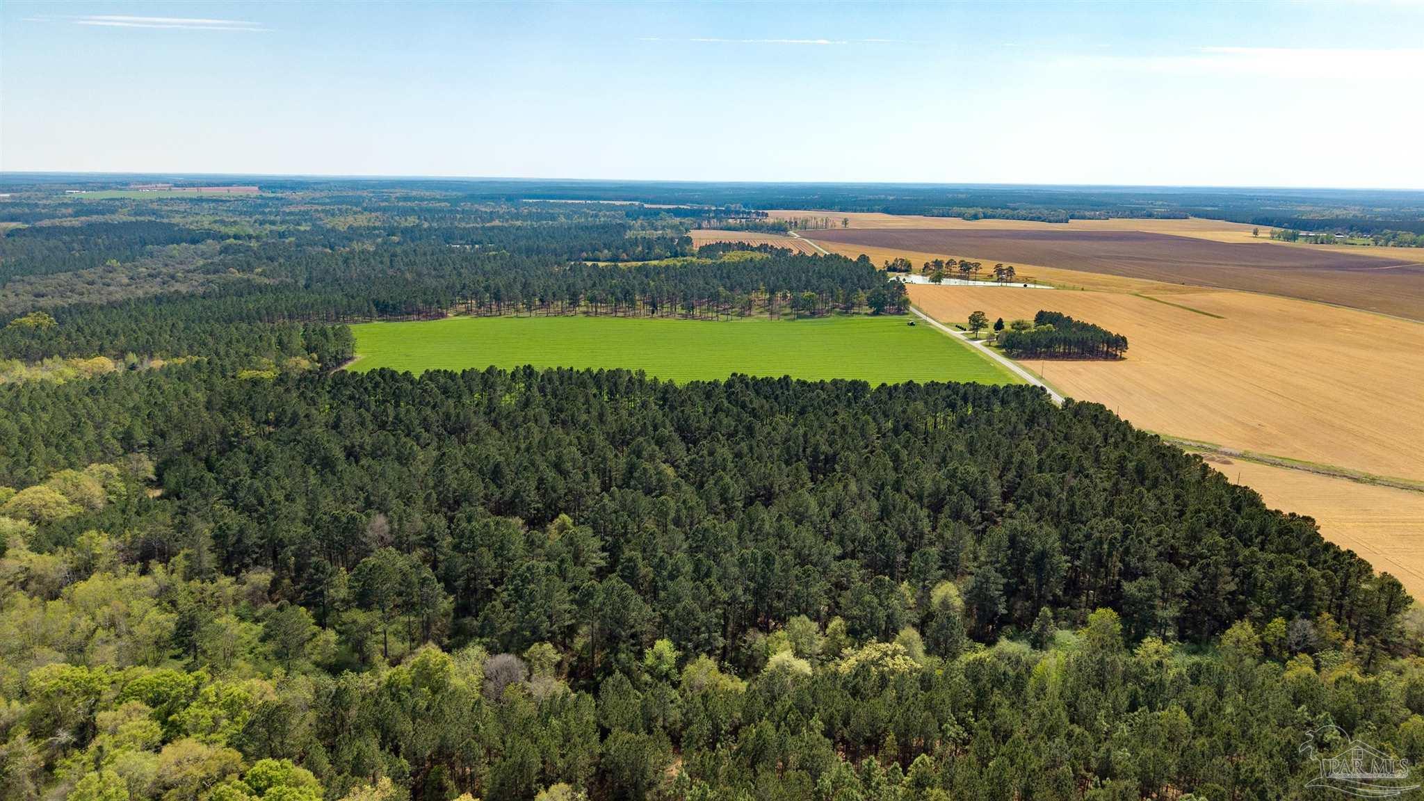 Tbd Corley Road Walnut Hill, FL 32568 - Photo 3 of 20