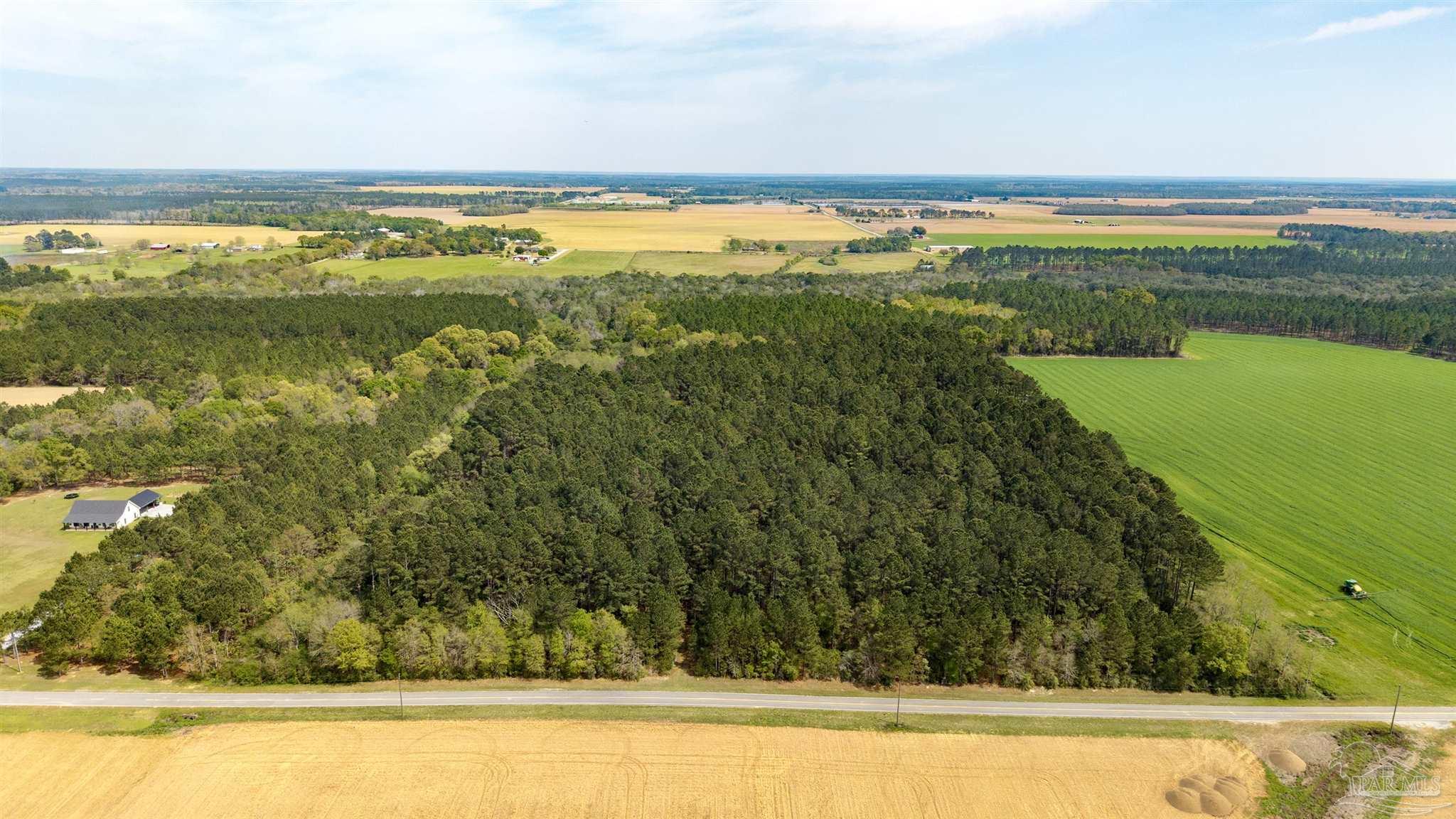 Tbd Corley Road Walnut Hill, FL 32568 - Photo 4 of 20