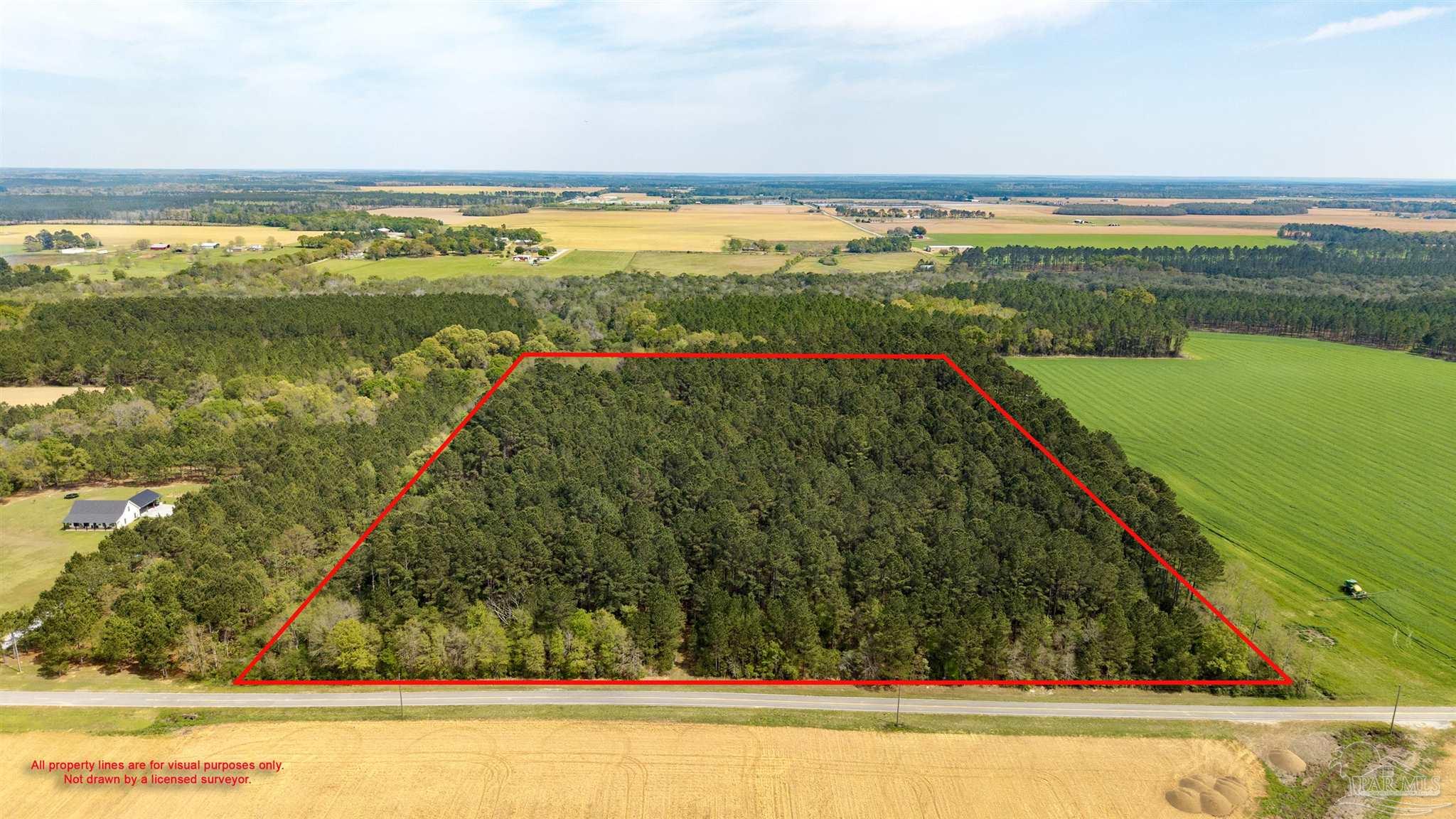 Tbd Corley Road Walnut Hill, FL 32568 - Photo 5 of 20