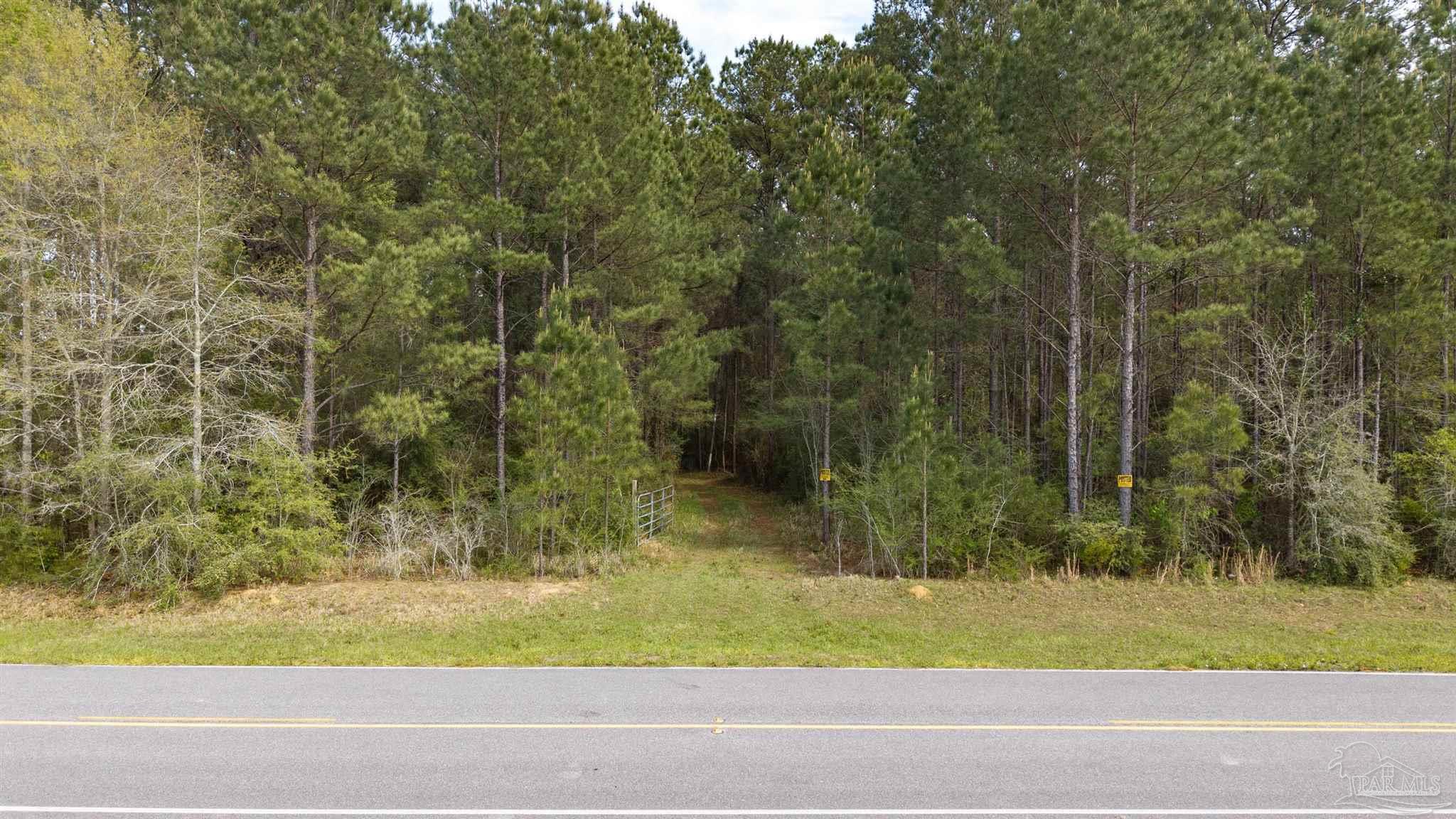 Tbd Corley Road Walnut Hill, FL 32568 - Photo 6 of 20