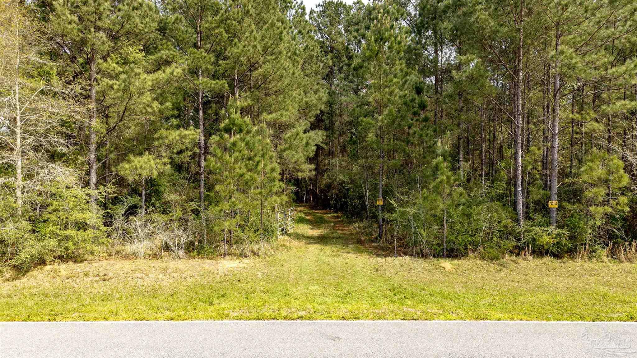 Tbd Corley Road Walnut Hill, FL 32568 - Photo 7 of 20