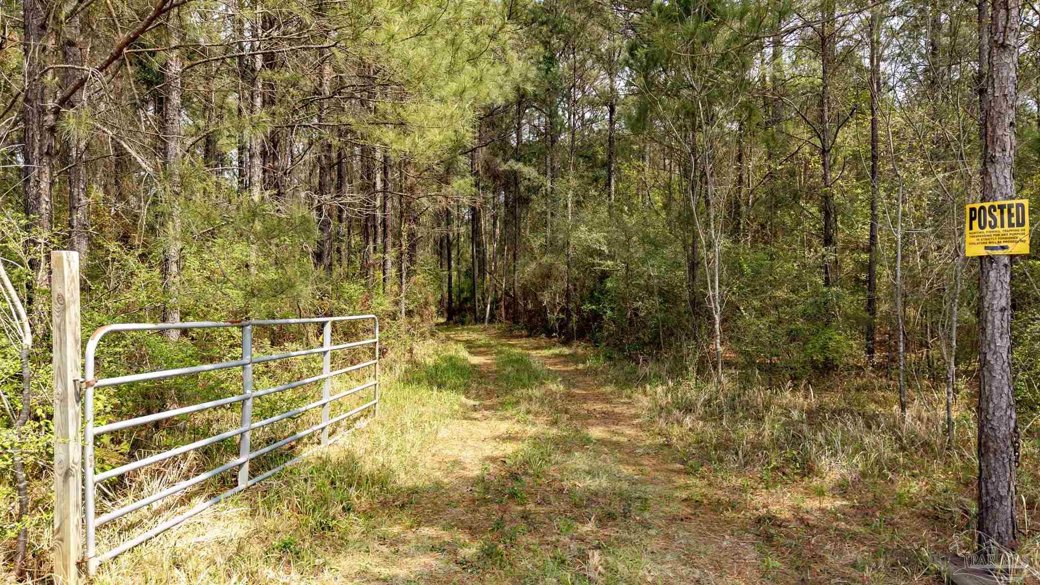 Tbd Corley Road Walnut Hill, FL 32568 - Photo 8 of 20