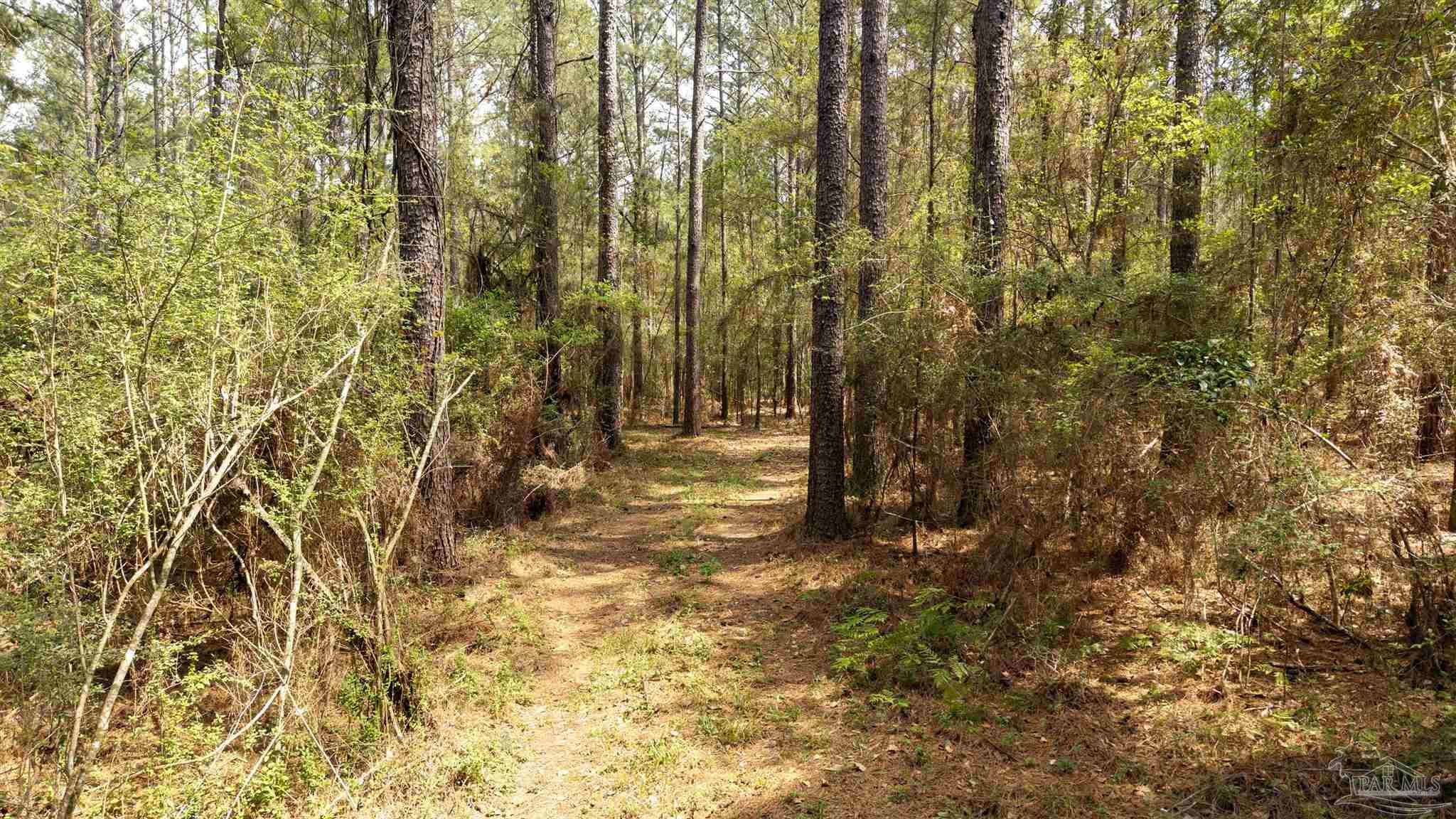 Tbd Corley Road Walnut Hill, FL 32568 - Photo 9 of 20