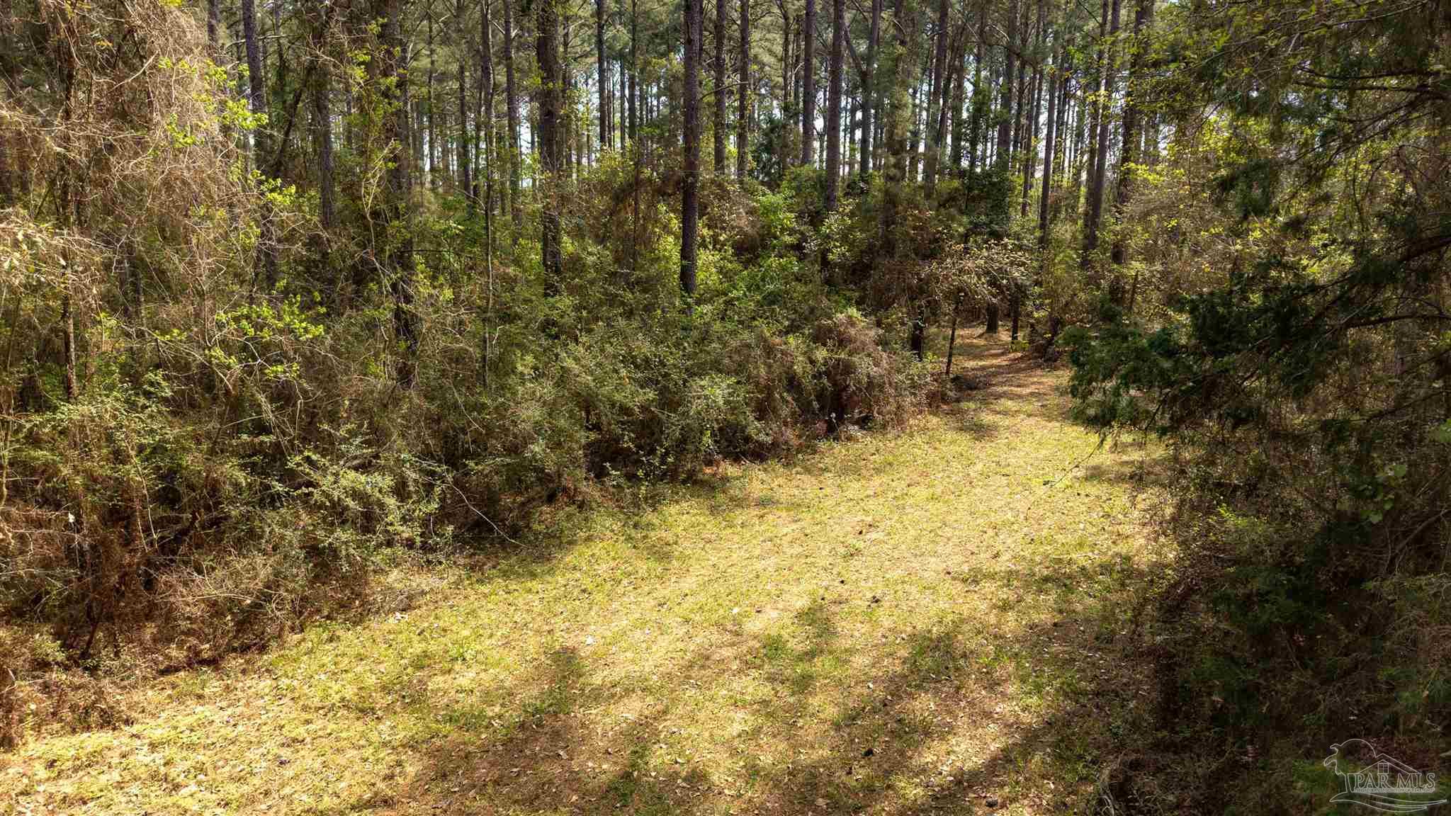 Tbd Corley Road Walnut Hill, FL 32568 - Photo 10 of 20