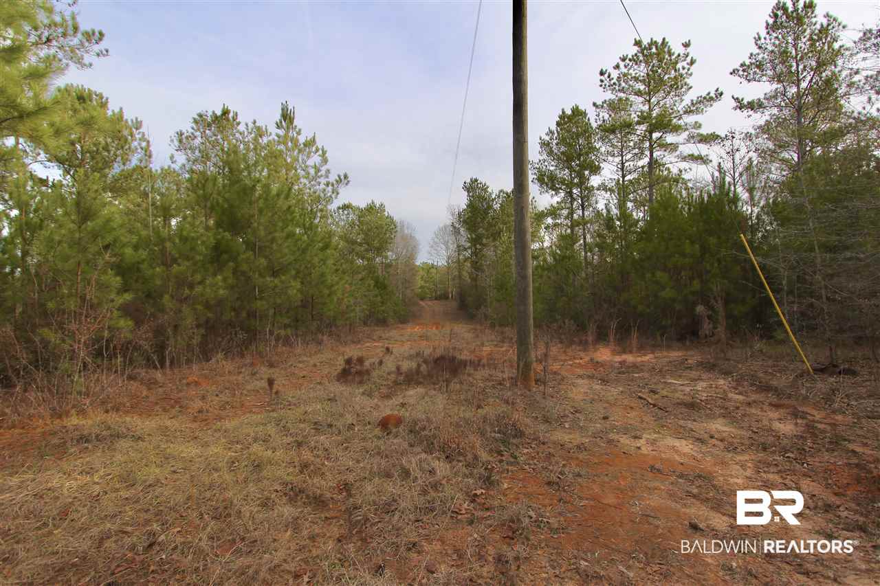 0 Sexton Brg Road Luverne, AL 36049 - Photo 20 of 50