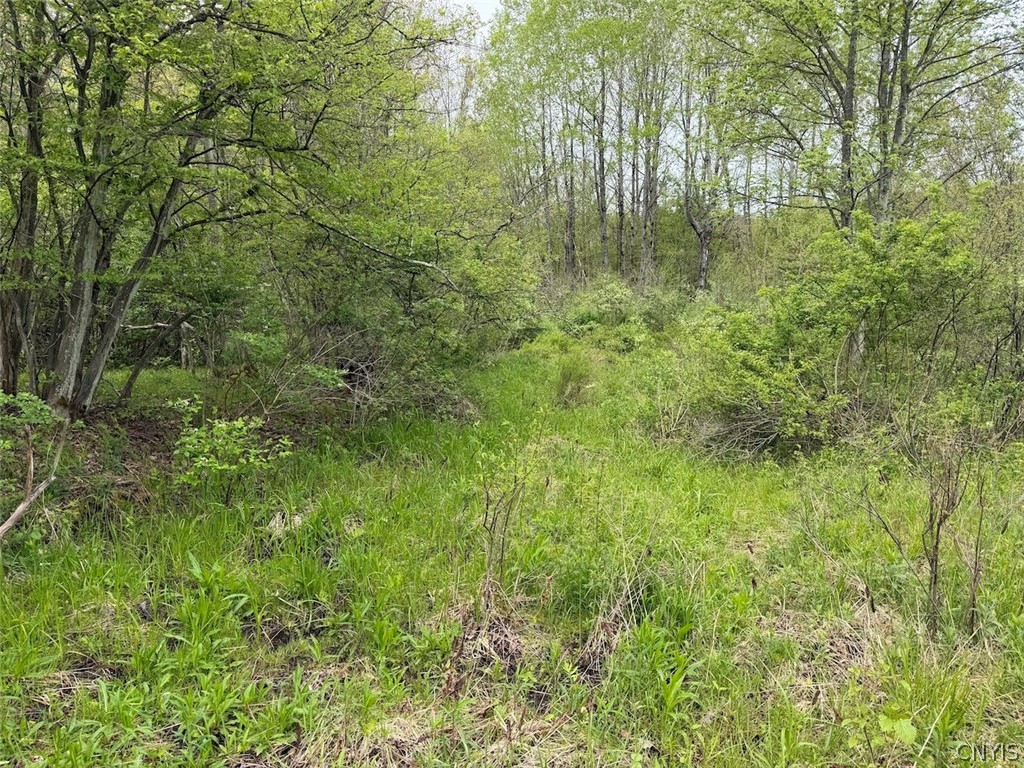 Reynolds Road Franklinville, NY 14737 - Photo 22 of 38