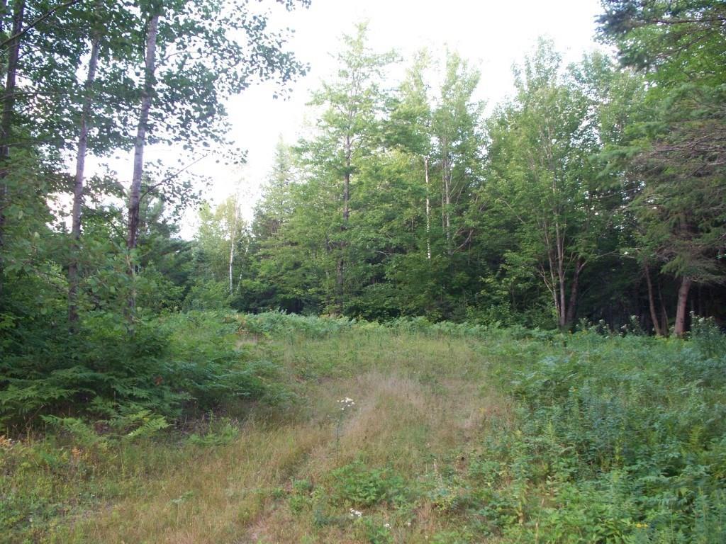 M4-l8 Brighton Road Wellington, ME 04942 - Photo 3 of 7 Land/Lot