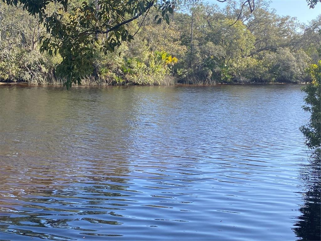 Anclote River front Lot, Would you like to wake up to this every morning!