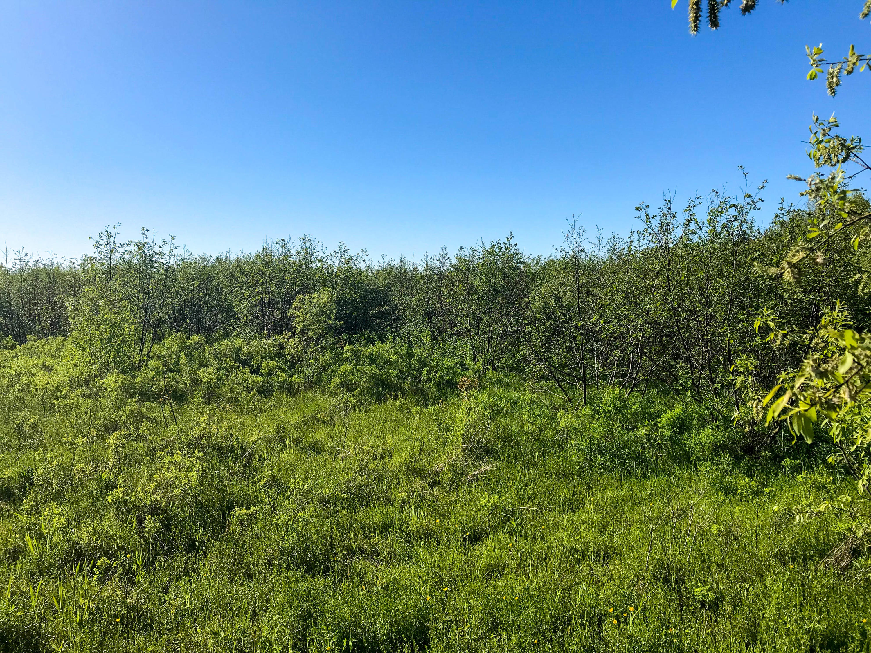 Lot 17 Danforth Road Carroll Plt, ME 04487 - Photo 4 of 13 View from Ground