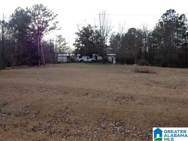 1310 New County Line Road Sylacauga, AL 35151 - Photo 1 of 1