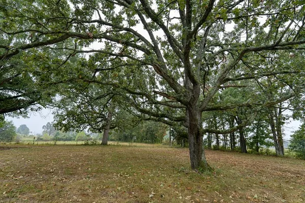 $330,000 | 3805 Highway 73, Buffalo, MO 65622