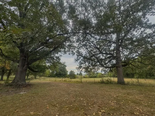 $330,000 | 3805 Highway 73, Buffalo, MO 65622