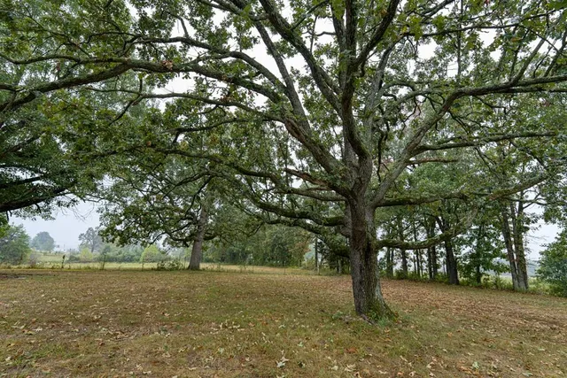 $340,000 | 3805 Highway 73, Buffalo, MO 65622