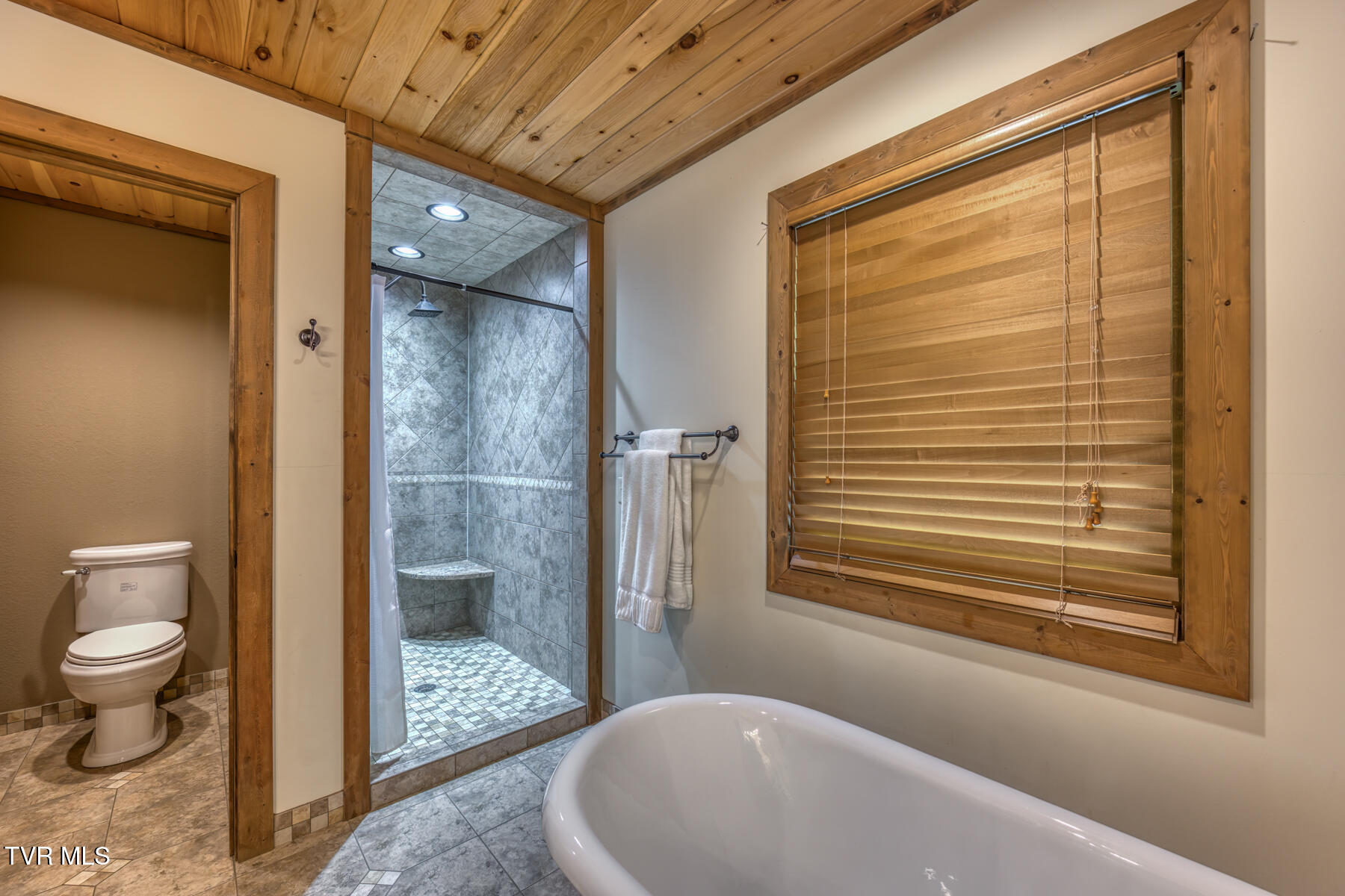 410 Eagle Ridge Road Roan Mountain, TN 37687 - Photo 30 of 89 410 Eagle Ridge Rd-26