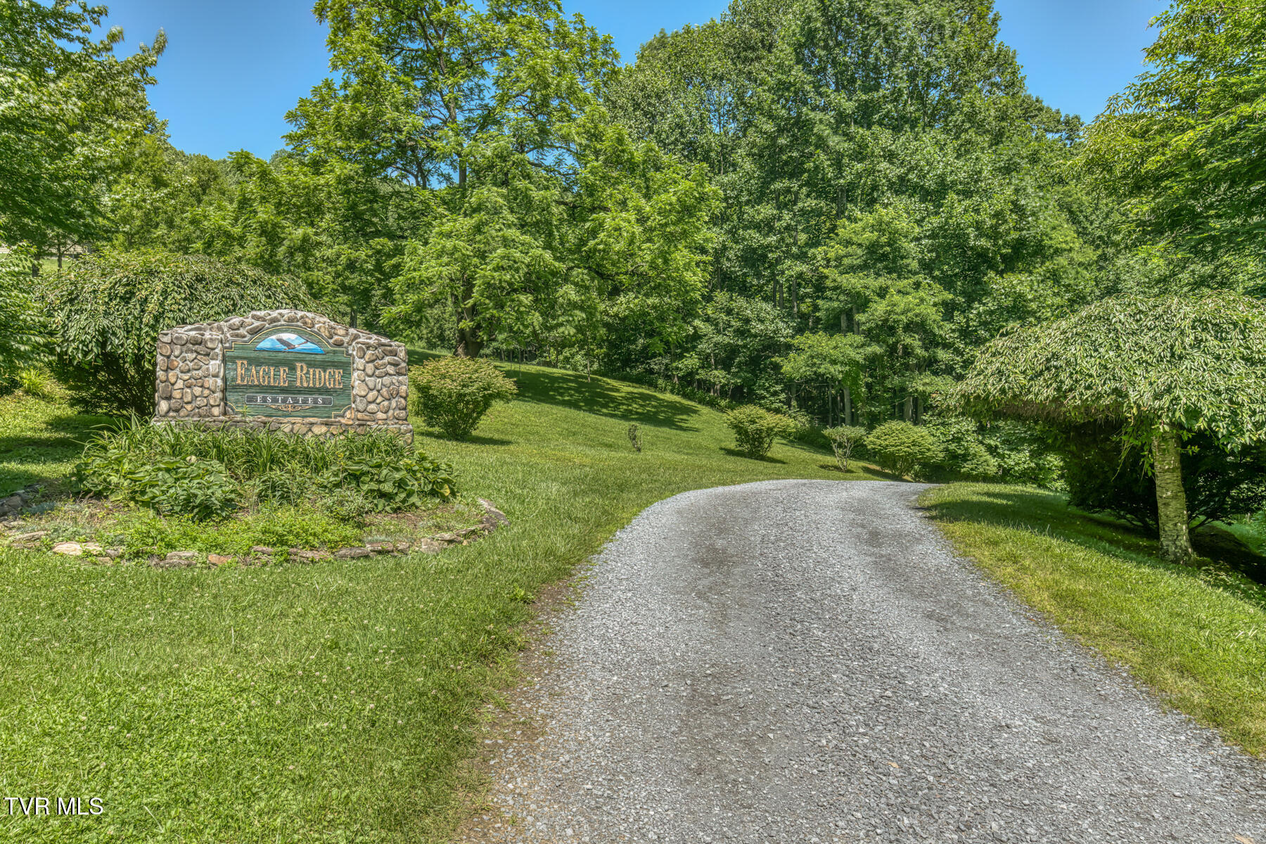 410 Eagle Ridge Road Roan Mountain, TN 37687 - Photo 58 of 89 410 Eagle Ridge Rd-85
