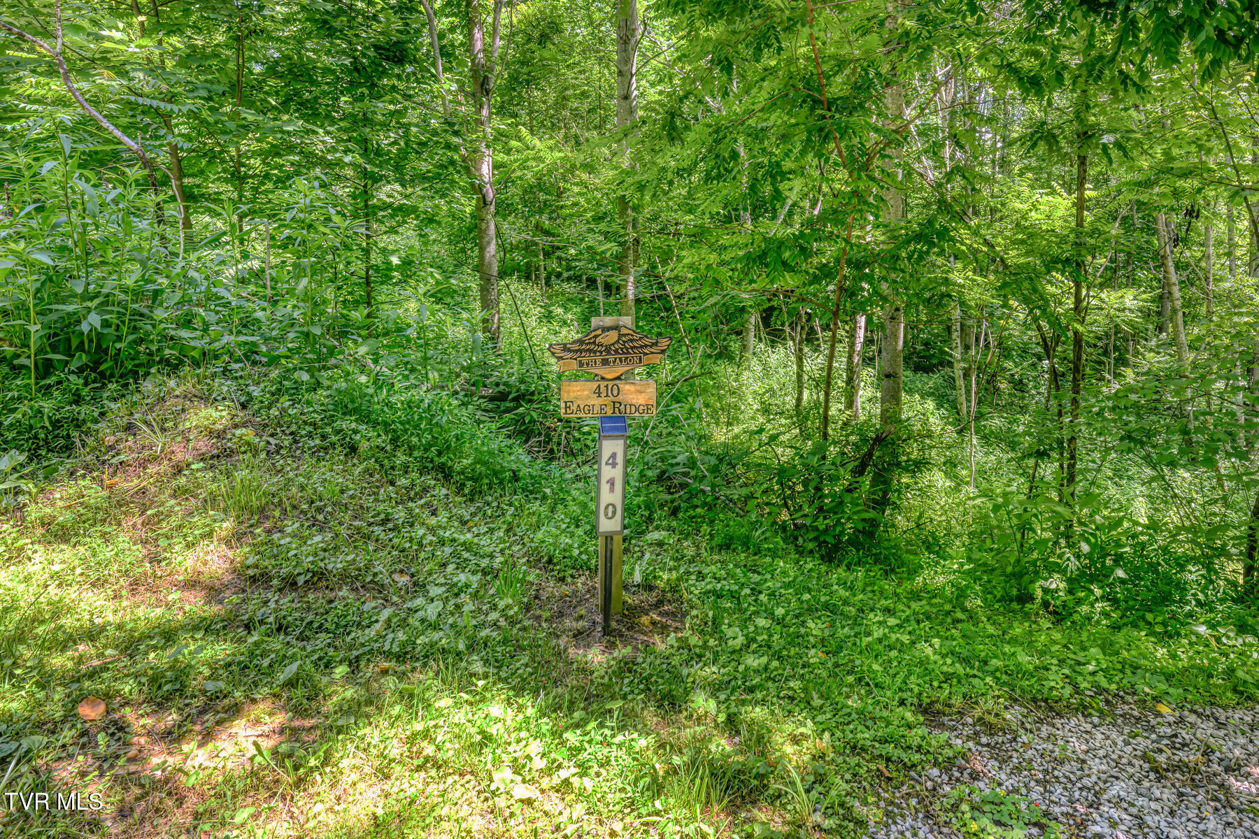 410 Eagle Ridge Road Roan Mountain, TN 37687 - Photo 59 of 89 410 Eagle Ridge Rd-84