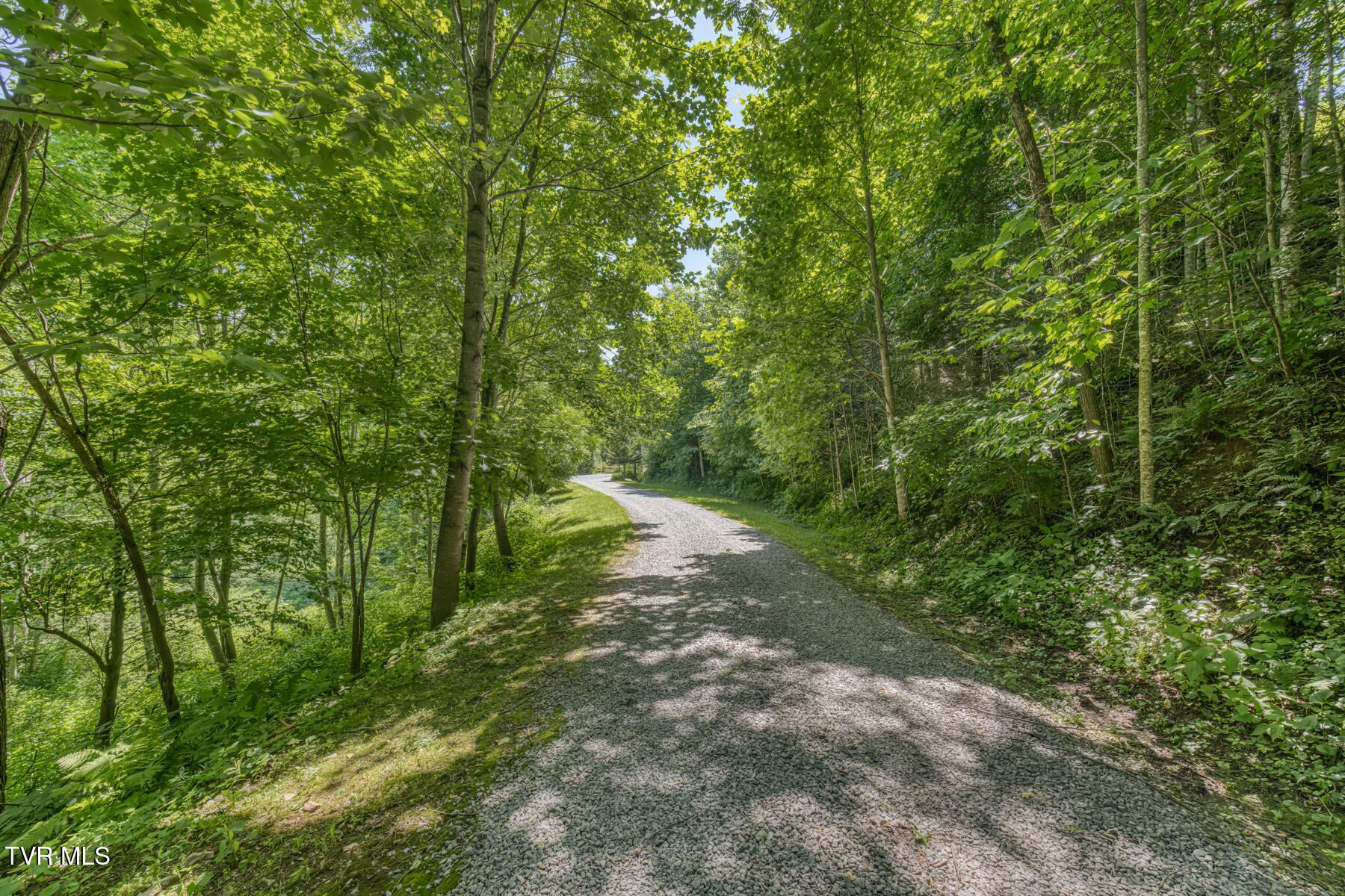 410 Eagle Ridge Road Roan Mountain, TN 37687 - Photo 60 of 89 410 Eagle Ridge Rd-83