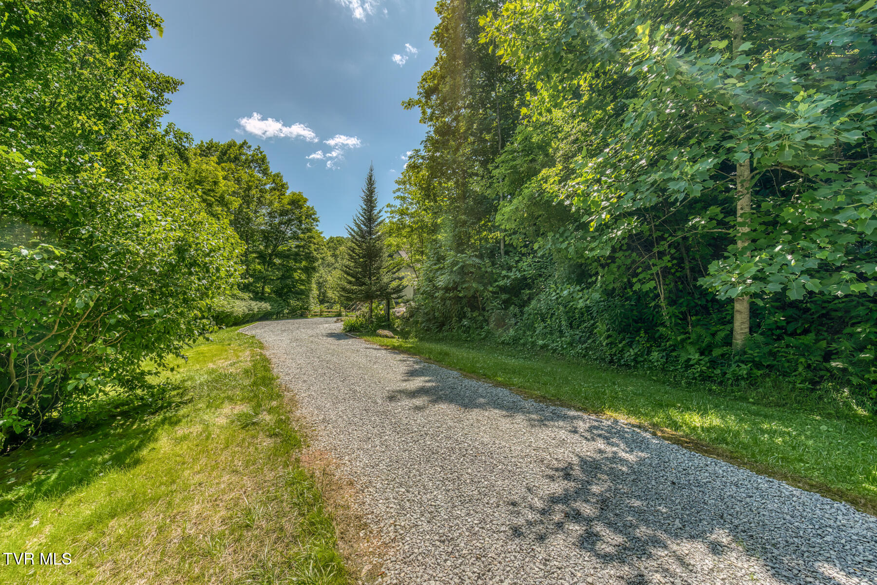 410 Eagle Ridge Road Roan Mountain, TN 37687 - Photo 61 of 89 410 Eagle Ridge Rd-82