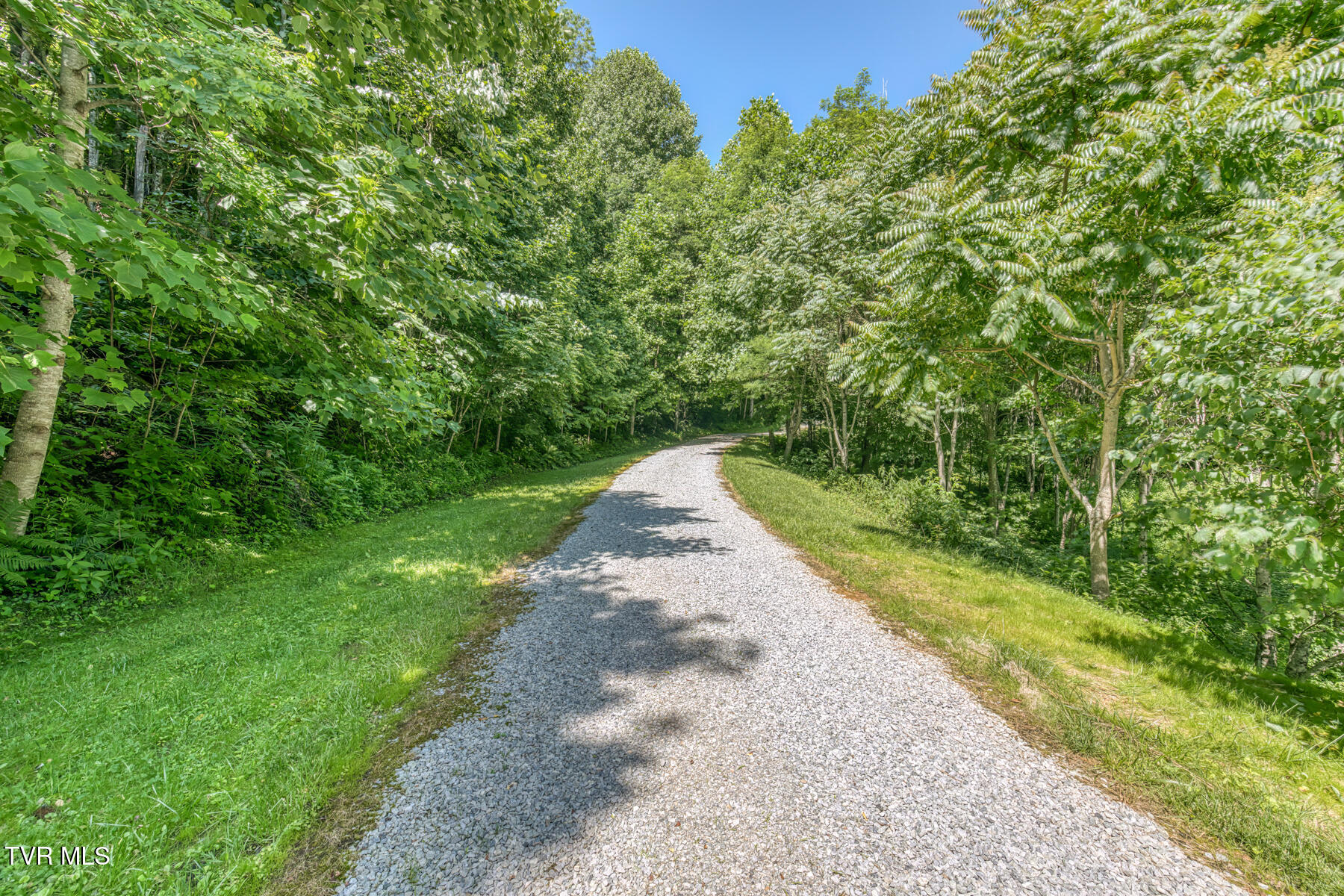 410 Eagle Ridge Road Roan Mountain, TN 37687 - Photo 62 of 89 410 Eagle Ridge Rd-81