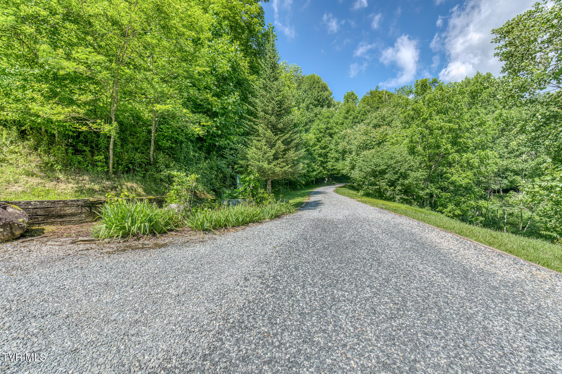 410 Eagle Ridge Road Roan Mountain, TN 37687 - Photo 64 of 89 410 Eagle Ridge Rd-79