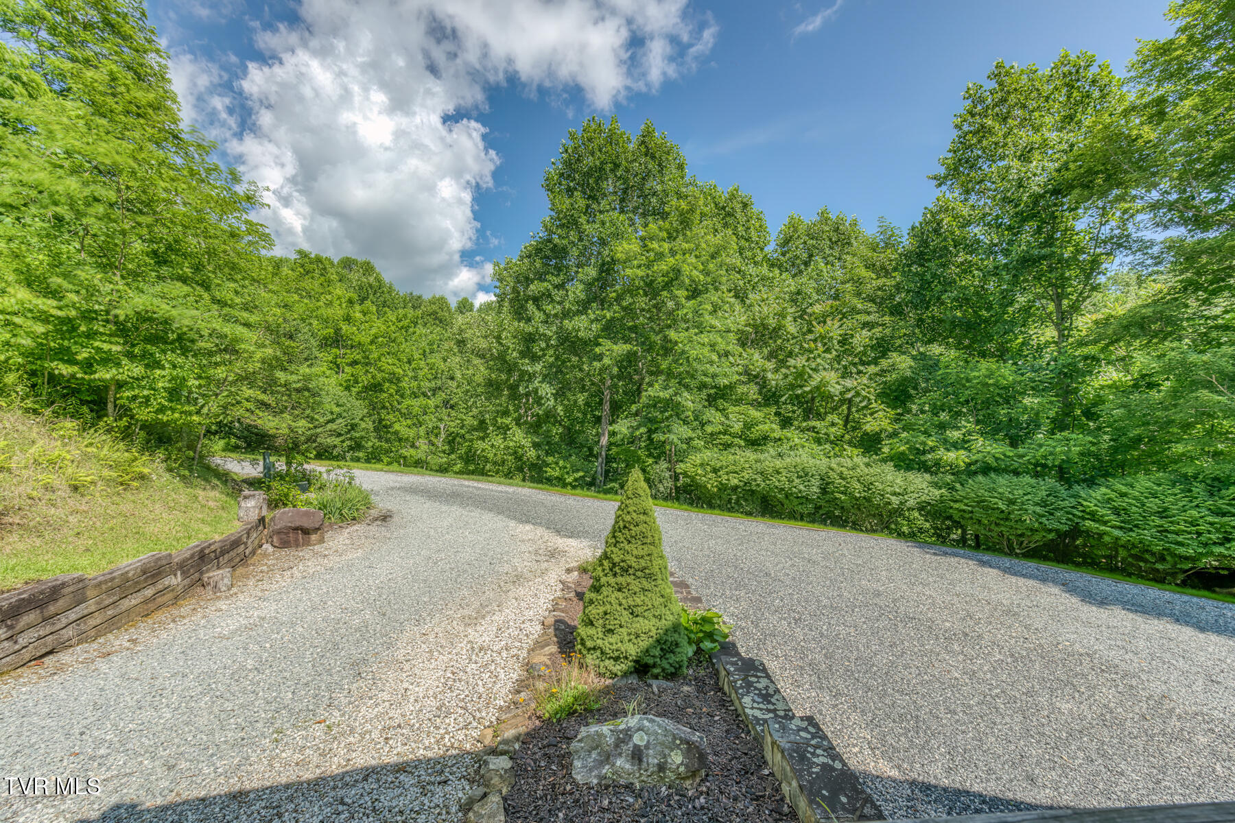 410 Eagle Ridge Road Roan Mountain, TN 37687 - Photo 65 of 89 410 Eagle Ridge Rd-78