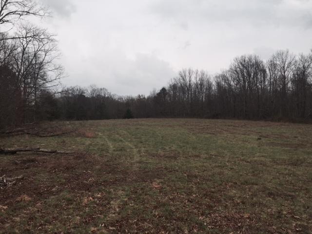84.95 Partin Farm Road Monteagle, TN 37356 - Photo 11 of 15 FullSizeRender9.jpg