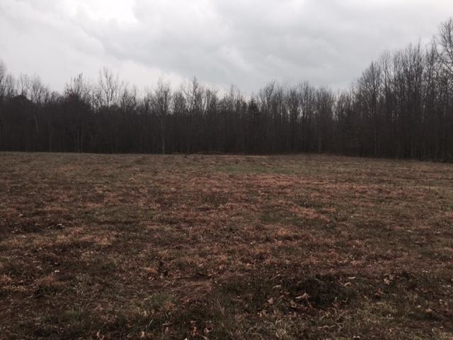 84.95 Partin Farm Road Monteagle, TN 37356 - Photo 12 of 15 FullSizeRender10.jpg