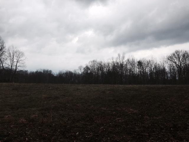 84.95 Partin Farm Road Monteagle, TN 37356 - Photo 13 of 15 FullSizeRender11.jpg