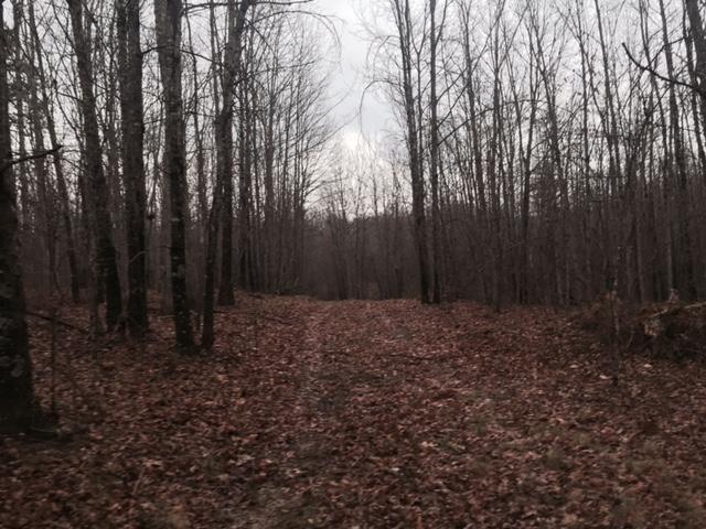 84.95 Partin Farm Road Monteagle, TN 37356 - Photo 14 of 15 FullSizeRender12.jpg