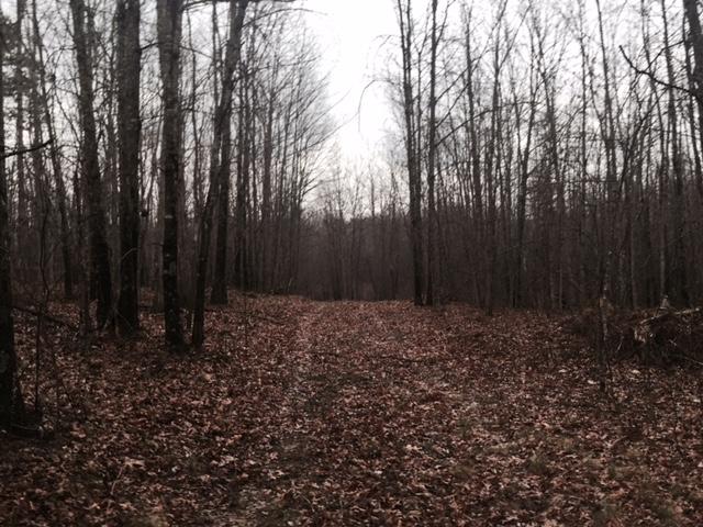 84.95 Partin Farm Road Monteagle, TN 37356 - Photo 15 of 15 FullSizeRender13.jpg