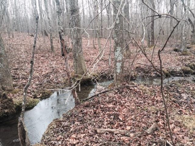 84.95 Partin Farm Road Monteagle, TN 37356 - Photo 2 of 15 FullSizeRender15.jpg