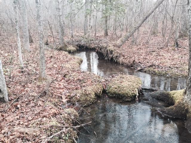 84.95 Partin Farm Road Monteagle, TN 37356 - Photo 3 of 15 FullSizeRender6.jpg