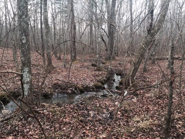 84.95 Partin Farm Road Monteagle, TN 37356 - Photo 4 of 15 FullSizeRender14.jpg