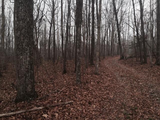84.95 Partin Farm Road Monteagle, TN 37356 - Photo 5 of 15 FullSizeRender (2.jpg