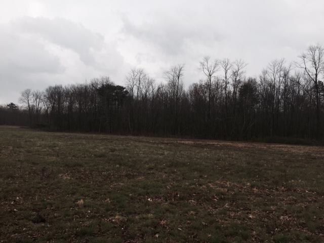 84.95 Partin Farm Road Monteagle, TN 37356 - Photo 6 of 15 FullSizeRender 4.jpg