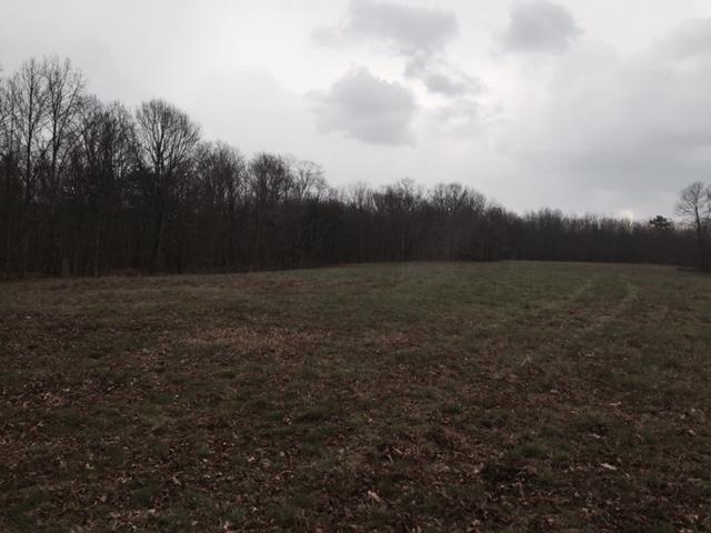 84.95 Partin Farm Road Monteagle, TN 37356 - Photo 7 of 15 FullSizeRender 5.jpg