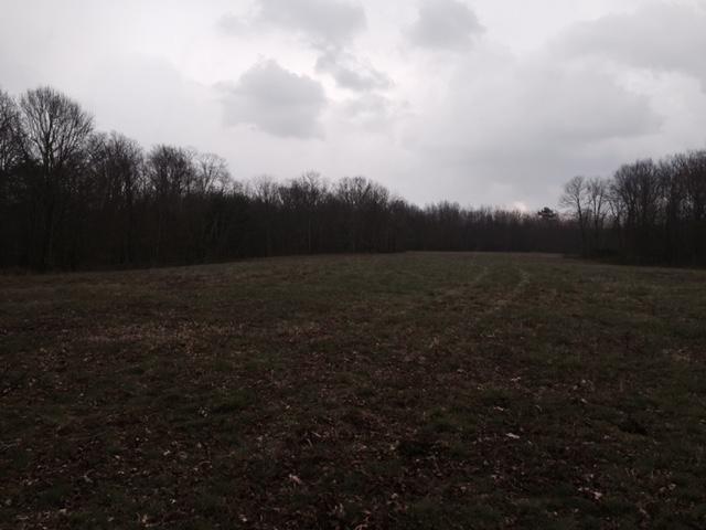 84.95 Partin Farm Road Monteagle, TN 37356 - Photo 8 of 15 FullSizeRender.jpg