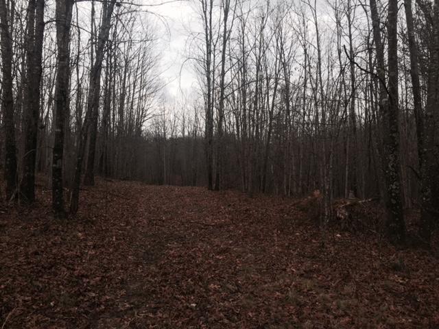 84.95 Partin Farm Road Monteagle, TN 37356 - Photo 9 of 15 FullSizeRender7.jpg