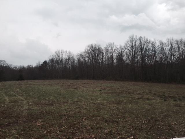 84.95 Partin Farm Road Monteagle, TN 37356 - Photo 10 of 15 FullSizeRender8.jpg
