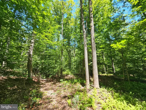 $119,900 | 15-ac Manteo Road, Buckingham, VA 23921
