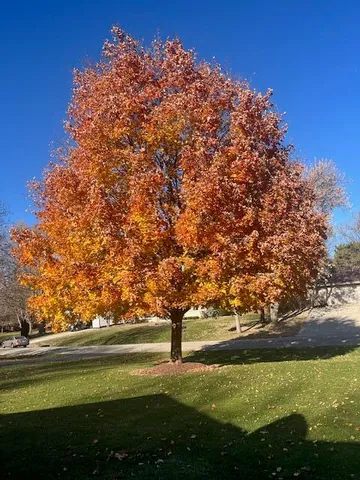 $639,900 | 18045 Continental Drive, Brookfield, WI 53045